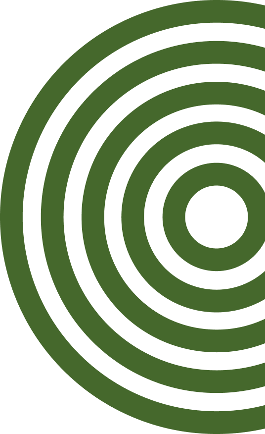 Circles decoration